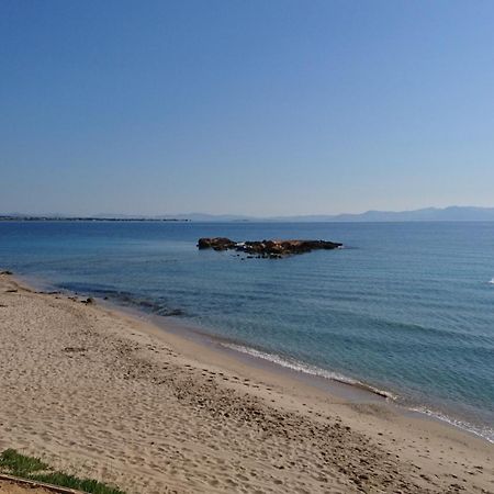 Summerhouse Peggy: Close To Athens Airport By The Sea 아르테미다 외부 사진