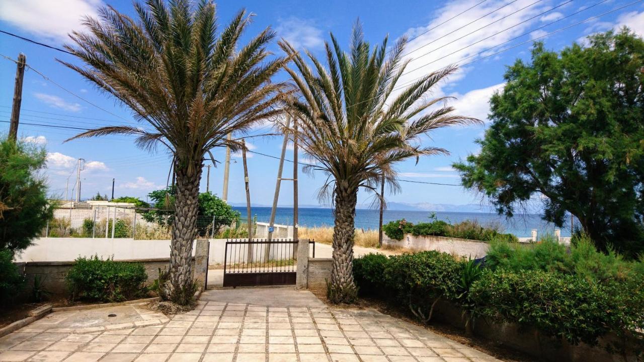 Summerhouse Peggy: Close To Athens Airport By The Sea 아르테미다 외부 사진